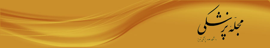 Logo-mj