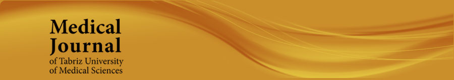 Logo-mj